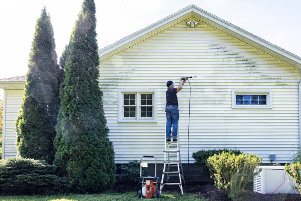 Boat and Dock Cleaning in Hanna City, IL